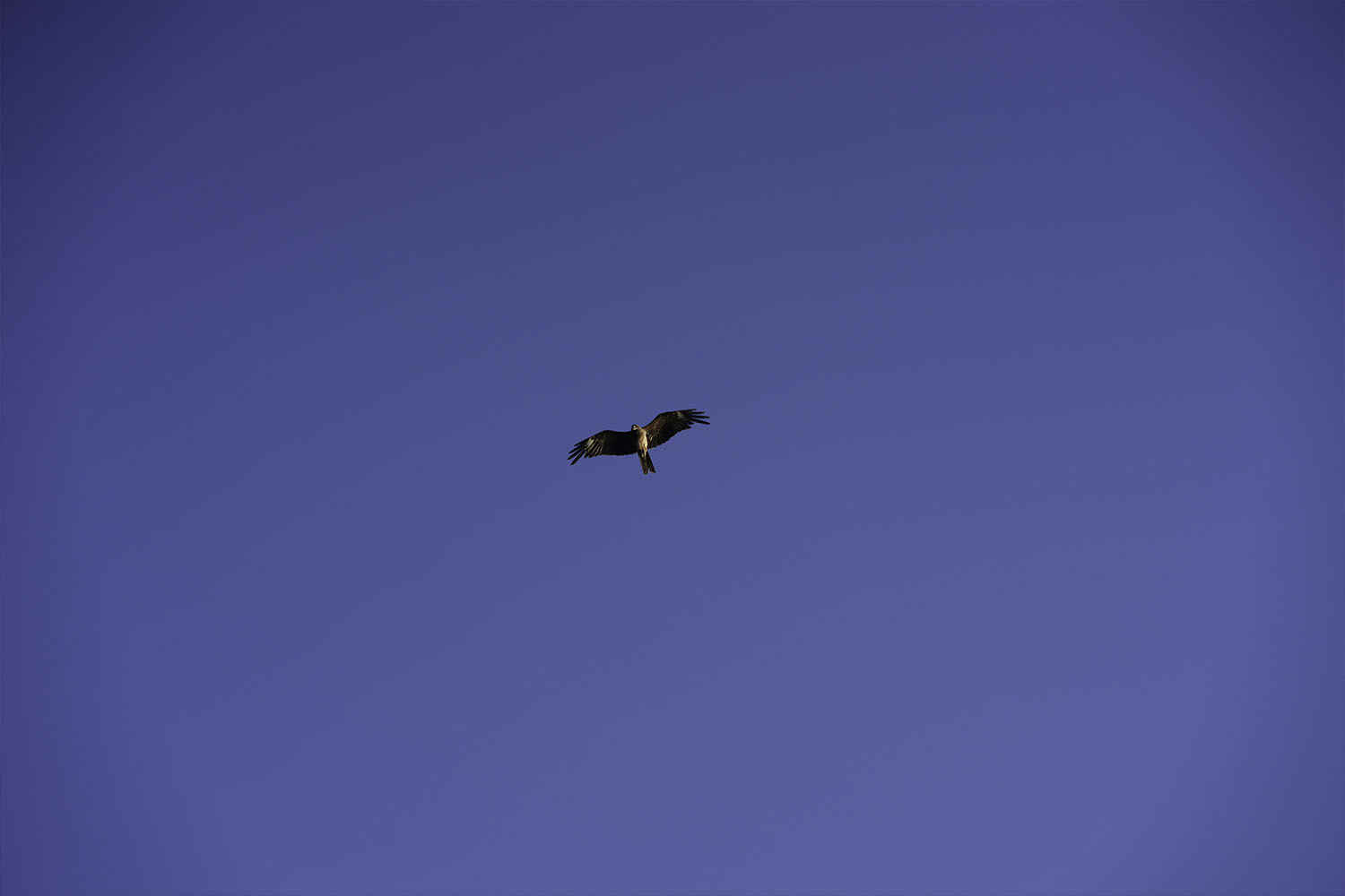 龍ヶ岳プランはどんな人におすすめ？静かな海の上で過ごす特別な釣り体験