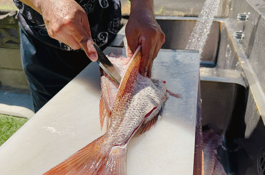 龍ヶ岳エリアならではの魅力